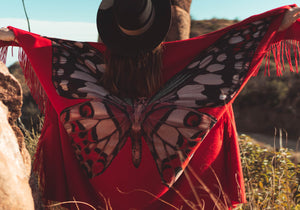 Butterfly Blankets